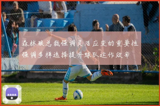 森林狼总裁强调灵活应变的重要性强调多样选择提升球队运作效率